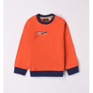 Bluza cu imprimeu pentru băieți, Sarabanda, 0.7037TI23ORG