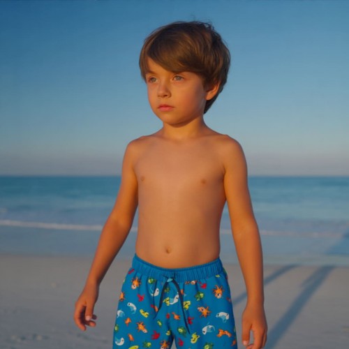 Bermude de baie băiat albastre, imprimeu pești și vietăți marine, talie elastică, 4.8577PV24ABS