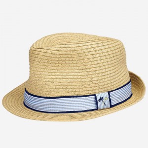 Palarie baiat, Mayoral, 10814PV20SKY