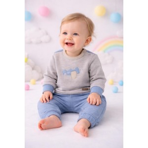 Set bebeluși Minibanda două piese gri-albastru, hanorac cu broderie și pantaloni, 3.F634TI25GR