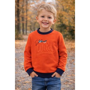Bluză Sarabanda pentru băieți din jerseu greu cu imprimeu crocodil, confort și stil casual, 0.7037TI23ORG